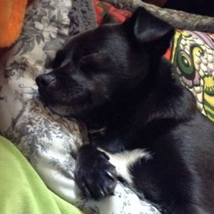 Meet your Posher, Hannah